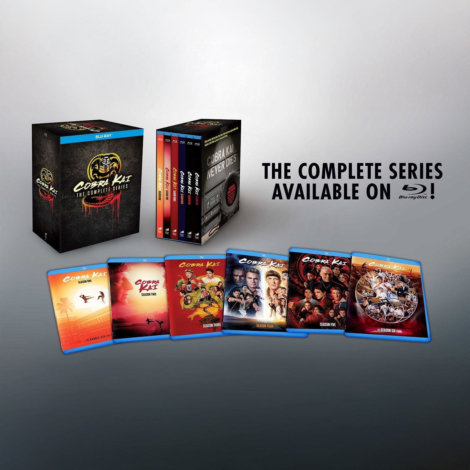 Кобра Кай: Сезоны 1-6 (2018 – 2025) (англ. язык) (13 Blu-ray)