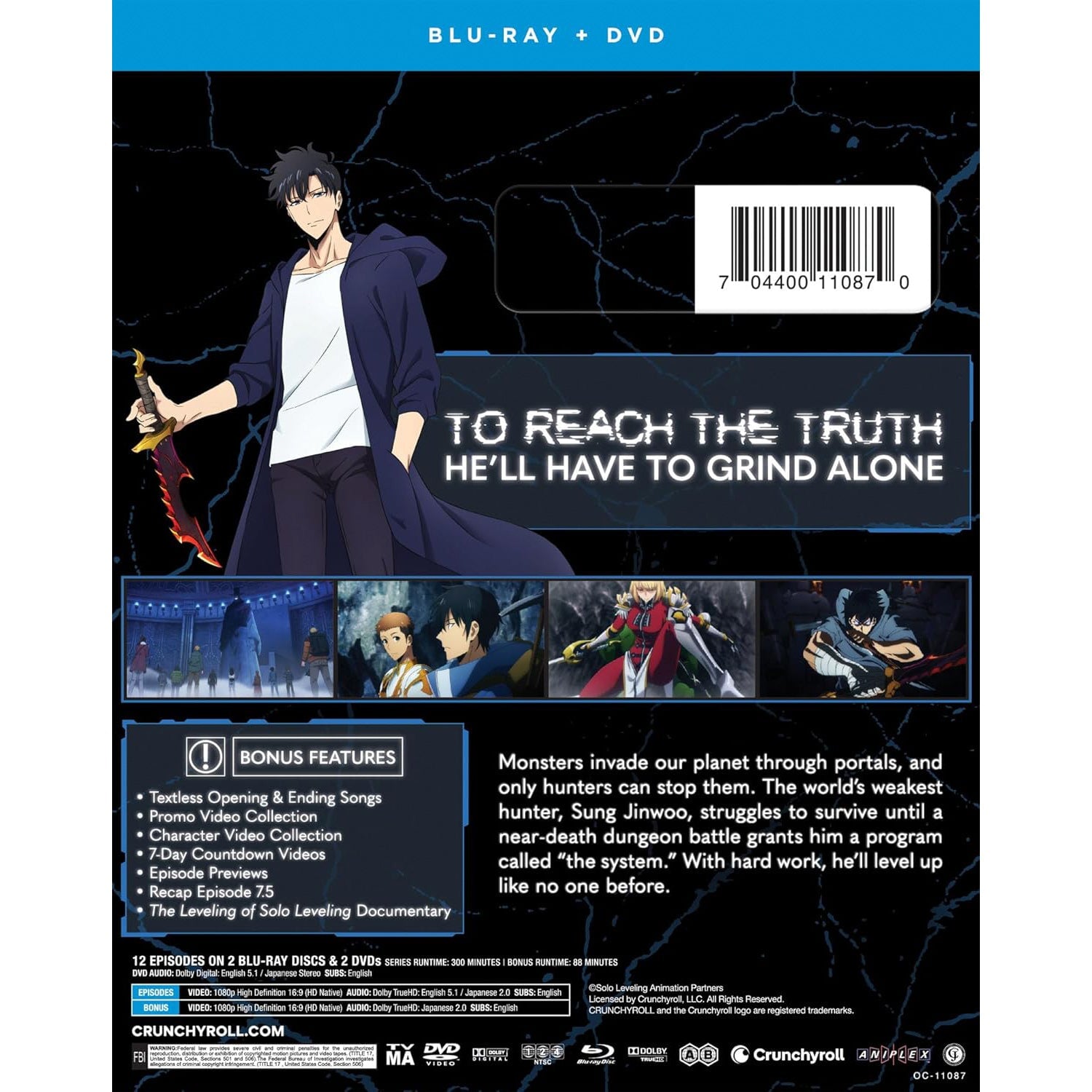 Поднятие уровня в одиночку: Сезон 1 (2024) (англ. язык) (2 Blu-ray + 2 DVD)