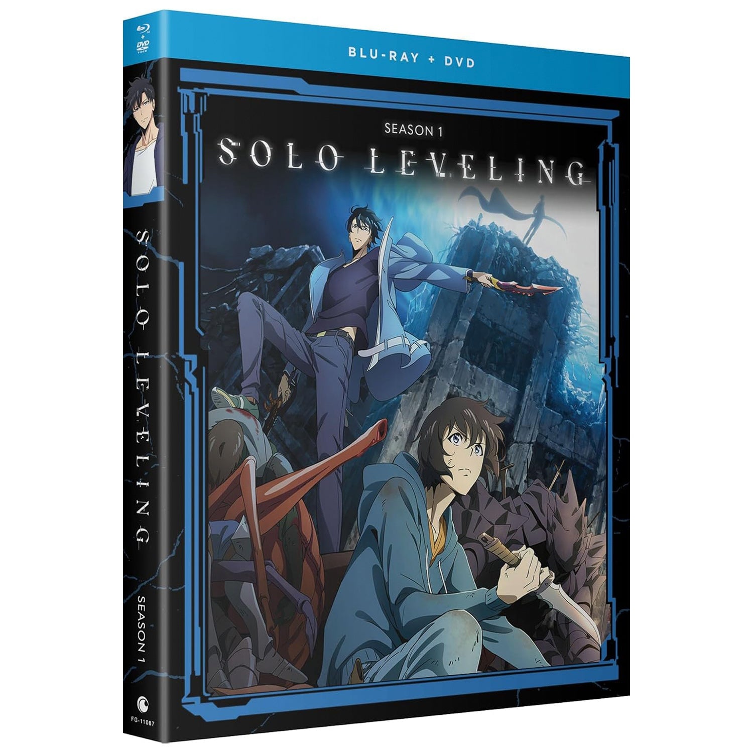 Поднятие уровня в одиночку: Сезон 1 (2024) (англ. язык) (2 Blu-ray + 2 DVD)