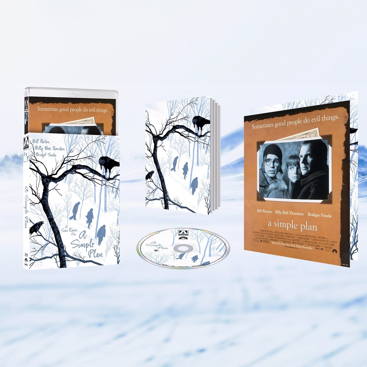 a million pictures of you simple plan