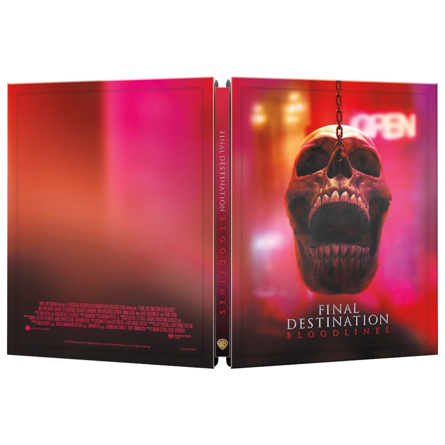 Пункт назначения: Узы крови (2025) (англ. язык) (4K UHD + Blu-ray) "Skull" Steelbook