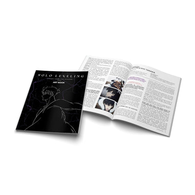 Поднятие уровня в одиночку: Сезон 2 (2024) (англ. язык) (2 Blu-ray + 2 DVD) Limited Edition