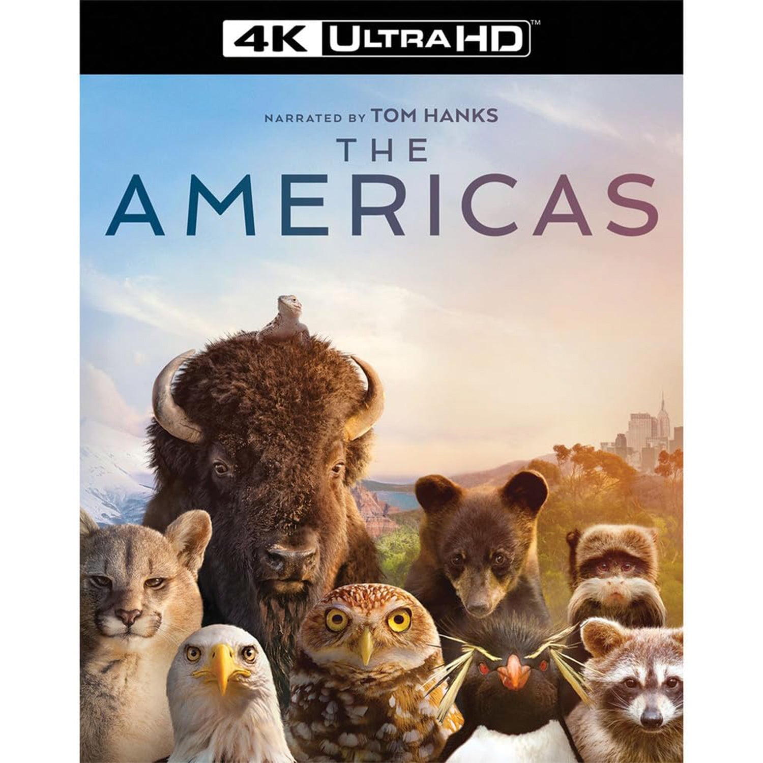 Америка (ТВ сериал, 2025) (англ. язык) (4K UHD Blu-ray)