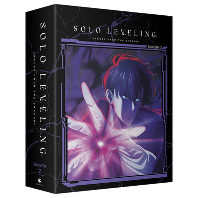 Поднятие уровня в одиночку: Сезон 2 (2024) (англ. язык) (2 Blu-ray + 2 DVD) Limited Edition