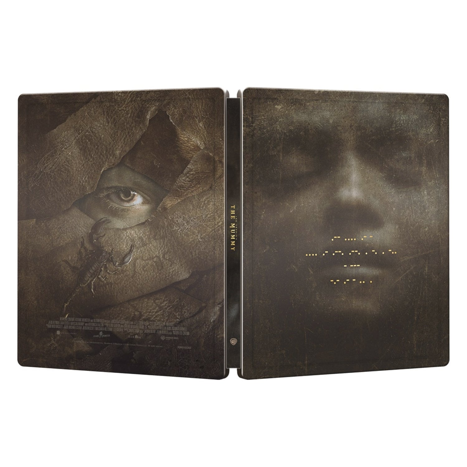 Мумия (2026) (англ. язык) (4K UHD Blu-ray) Steelbook