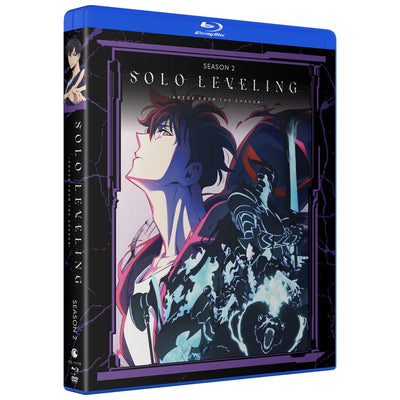 Поднятие уровня в одиночку: Сезон 2 (2024) (англ. язык) (2 Blu-ray + 2 DVD)