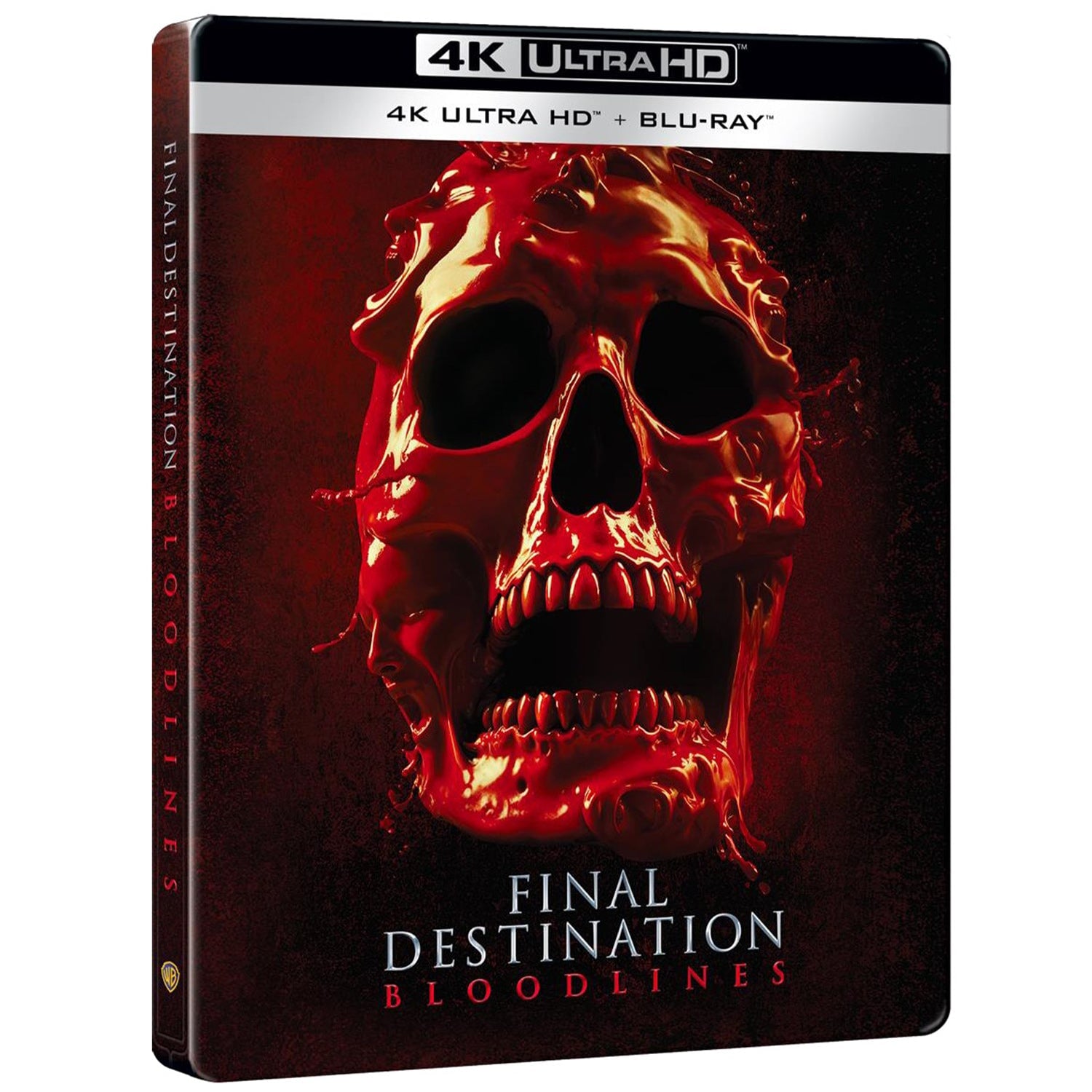 Пункт назначения: Узы крови (2025) (англ. язык) (4K UHD + Blu-ray) "Alt Skull" Steelbook