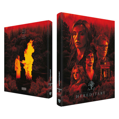 Реинкарнация (2018) (англ. язык) (Blu-ray + DVD) Mediabook [Cover A]