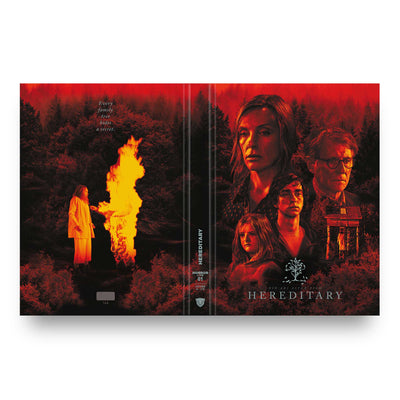 Реинкарнация (2018) (англ. язык) (Blu-ray + DVD) Mediabook [Cover A]