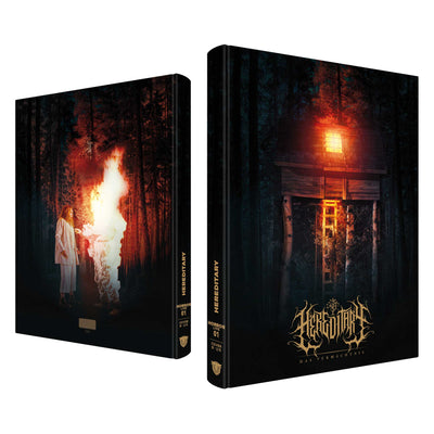 Реинкарнация (2018) (англ. язык) (Blu-ray + DVD) Mediabook [Cover B]