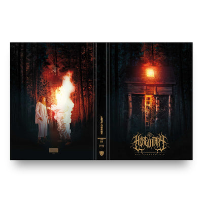 Реинкарнация (2018) (англ. язык) (Blu-ray + DVD) Mediabook [Cover B]