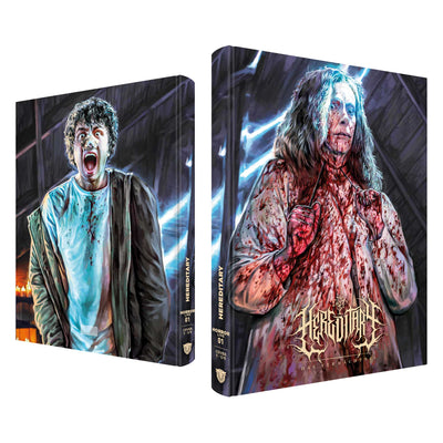 Реинкарнация (2018) (англ. язык) (Blu-ray + DVD) Mediabook [Cover C]