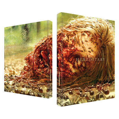 Реинкарнация (2018) (англ. язык) (Blu-ray + DVD) Mediabook [Cover D]