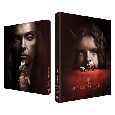Реинкарнация (2018) (англ. язык) (Blu-ray + DVD) Mediabook [Cover E]