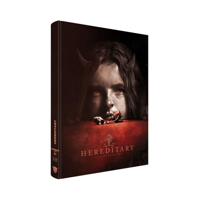 Реинкарнация (2018) (англ. язык) (Blu-ray + DVD) Mediabook [Cover E]