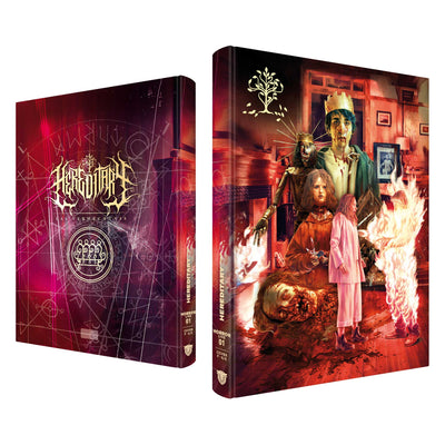 Реинкарнация (2018) (англ. язык) (Blu-ray + DVD) Mediabook [Cover F]