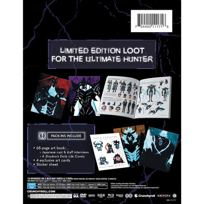 Поднятие уровня в одиночку: Сезон 2 (2024) (англ. язык) (2 Blu-ray + 2 DVD) Limited Edition