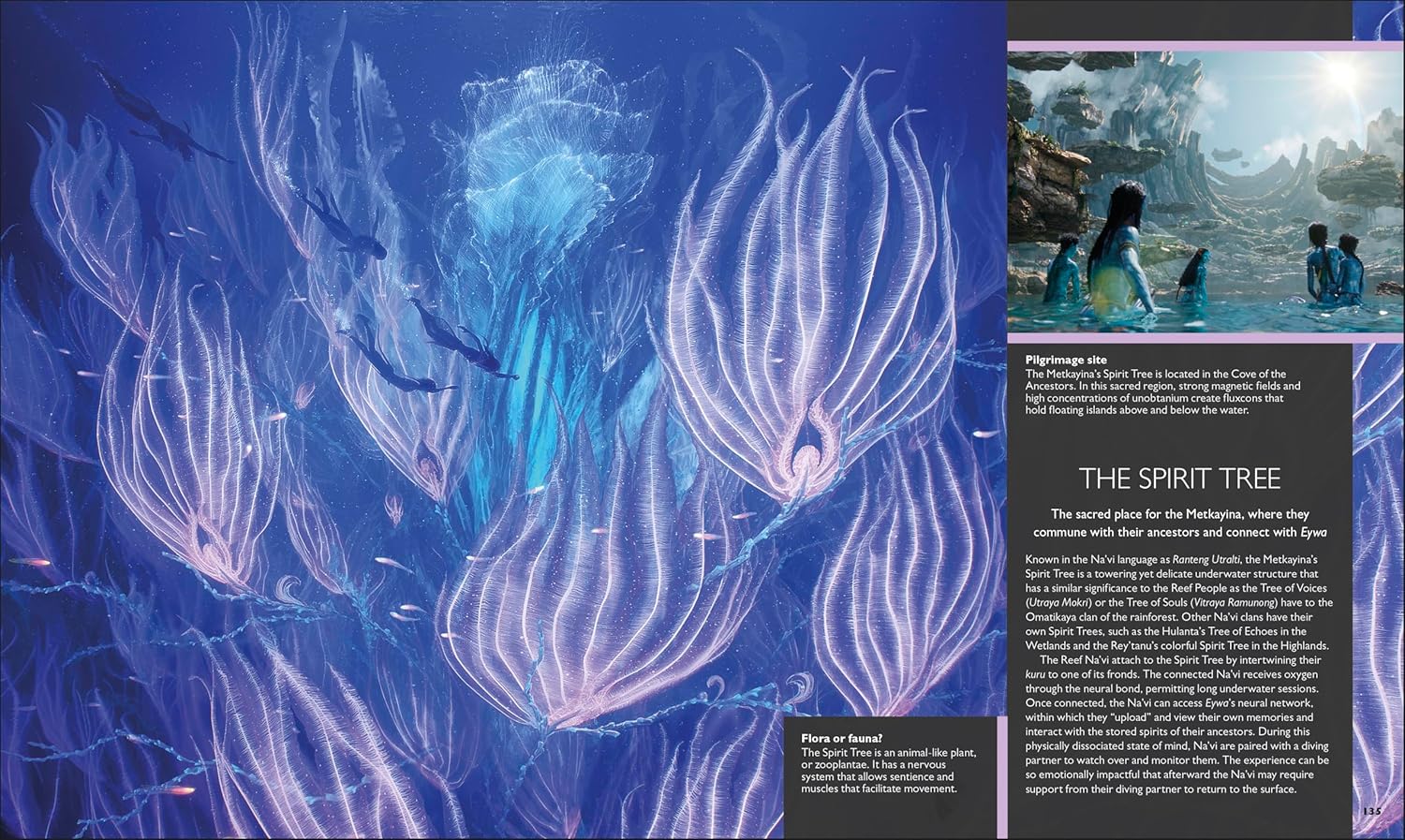 The World of Avatar: A Visual Exploration (Updated Edition) (Артбук)