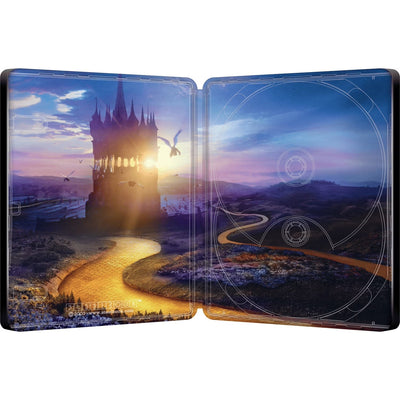 Злая. Часть 2 (2025) (англ. язык) (4K UHD + Blu-ray) Steelbook