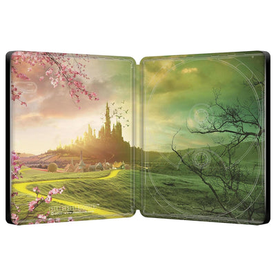 Злая: Сказка о ведьме Запада (2024) (англ. язык) (4K UHD + Blu-ray) Steelbook