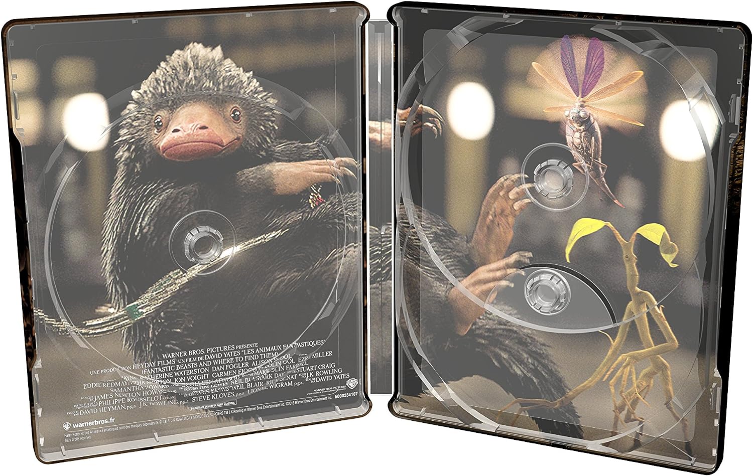 Фантастические твари и где они обитают 3D + 2D (2 Blu-ray) Steelbook