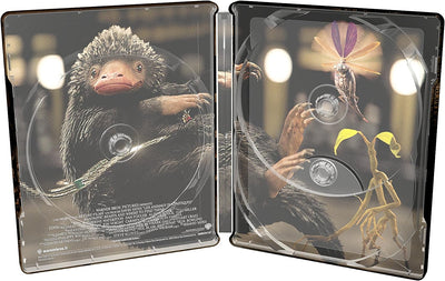 Фантастические твари и где они обитают 3D + 2D [Подарочное издание] (2 Blu-ray) Steelbook