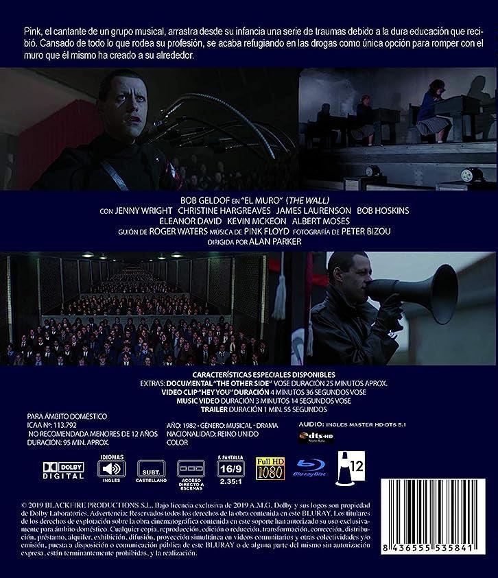 Pink Floyd: The Wall (Blu-ray)