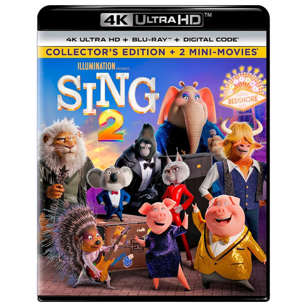 今日子 DVD & Sing! Sing! Sing! 2 セット CD5枚 zveropoy-2-2021-angl-yazyk-4k-